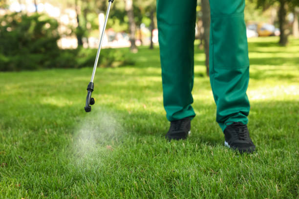 Best Pest Removal Services  in Mount Olive, MS