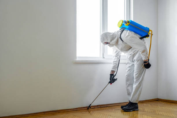Best Pest Prevention Services  in Mount Olive, MS