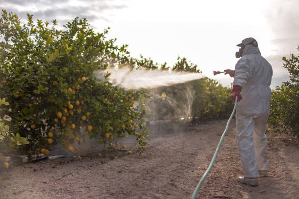 Pest Control for Restaurants in Mount Olive, MS