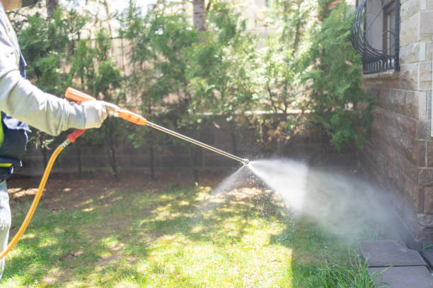 Best Spider Control Near Me  in Mount Olive, MS