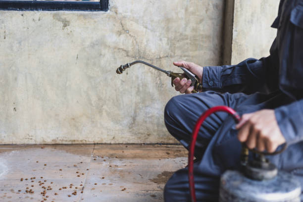 Best Exterminator Services  in Mount Olive, MS