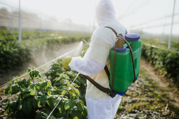 Best Best Pest Control Companies  in Mount Olive, MS